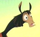 Kuzco the llama.